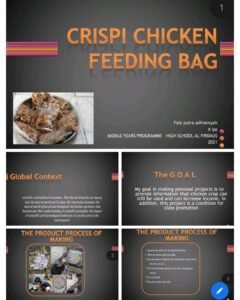 Read more about the article Crispy Chicken Feeding Bag