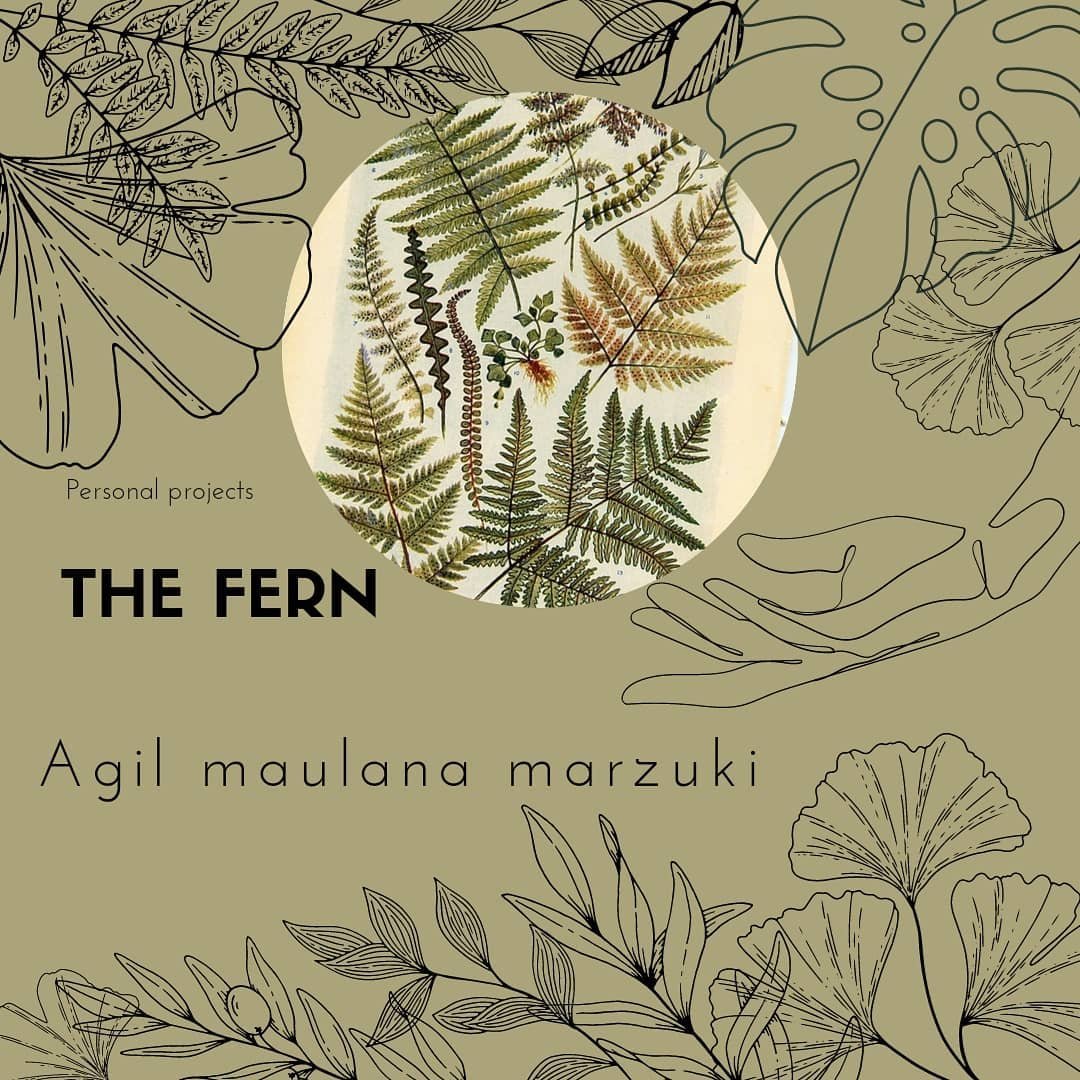 You are currently viewing The Fern