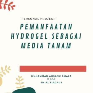 Read more about the article Utilization Of Hydrogels And Used Bottles For Planting Flower And Vegetables