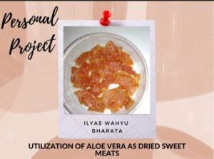 Read more about the article Utilization of Aloevera as Dry Sweetmeats