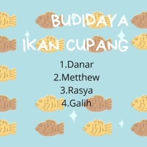 Read more about the article Budidaya Ikan Cupang