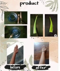 Read more about the article The Effect of Aloevera for Skin Health