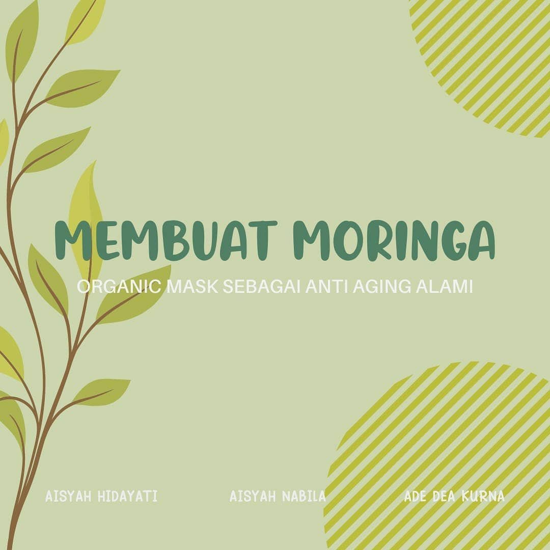 Read more about the article Membuat Moringa Organik Mask untuk Anti Aging Alami